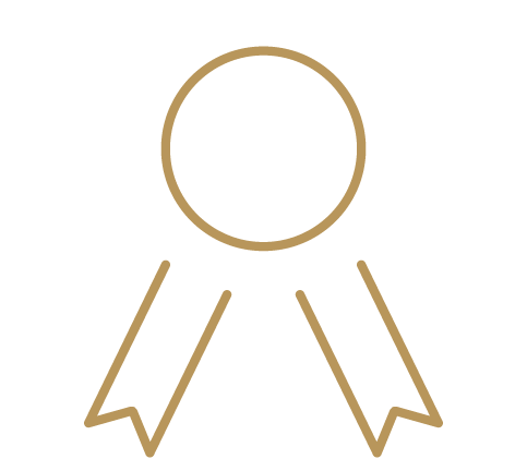 icon quality reverse